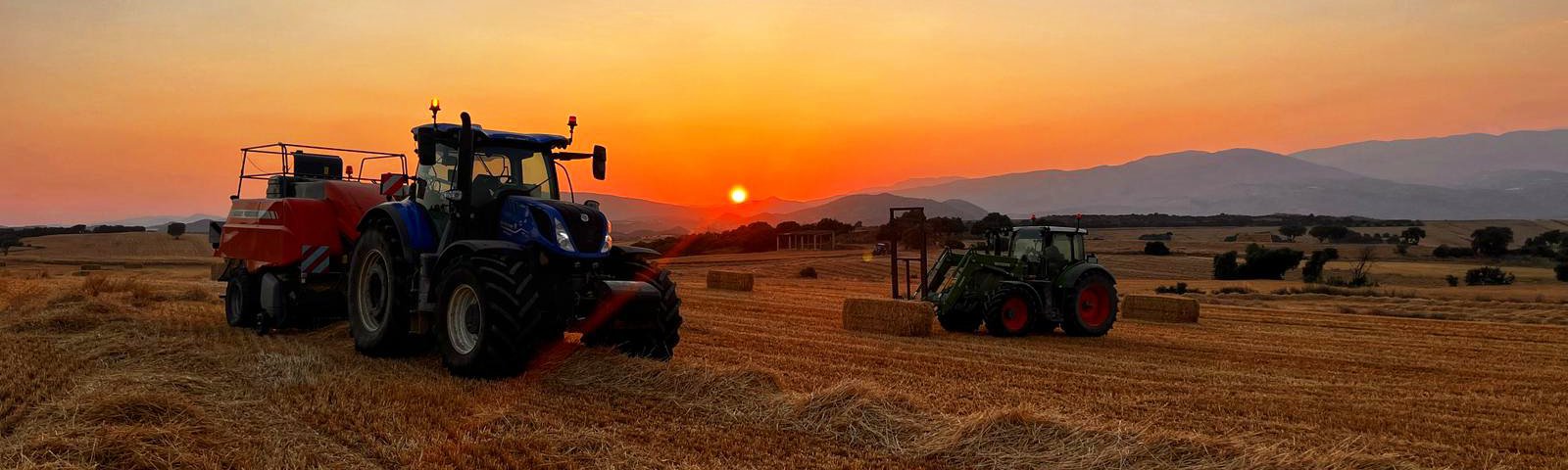 Treballs agrícoles Rovira