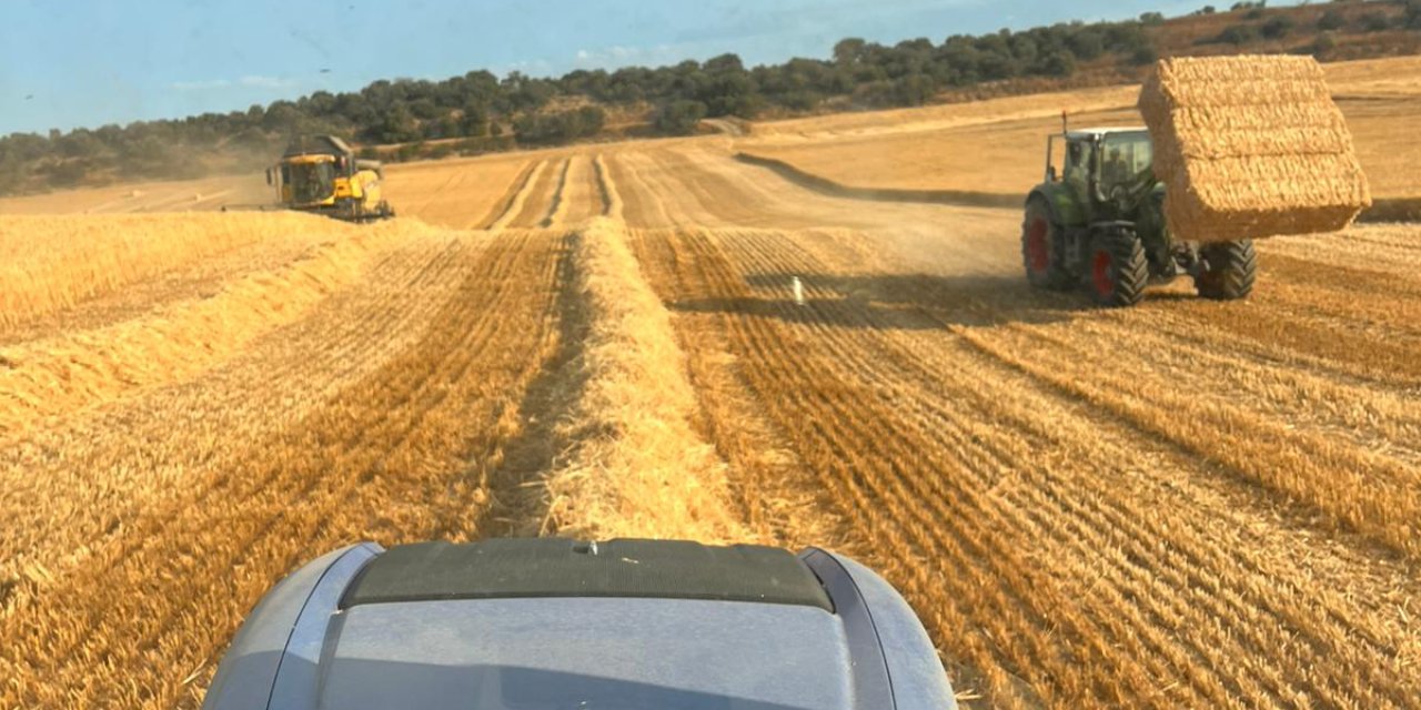 Comprom&iacute;s, professionalitat i proximitat