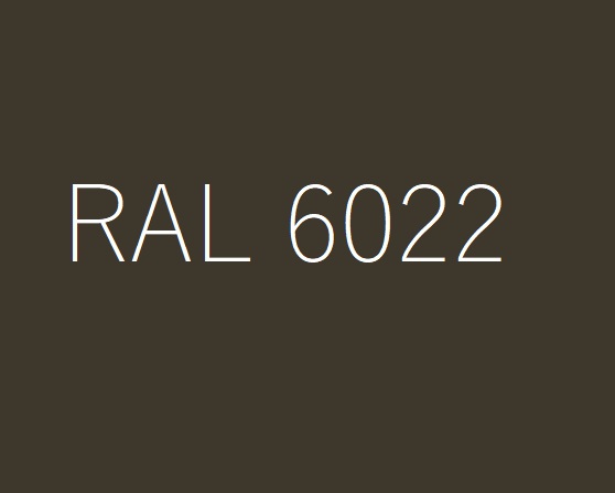 CHAPA 2 X 1 X 0.8 RAL 6022 1CARA