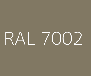 CHAPA 2 X 1 X 0.8 RAL 7002 1CARA