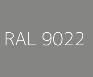 CHAPA 2 X 1 X 0.8 RAL 9022 1CARA