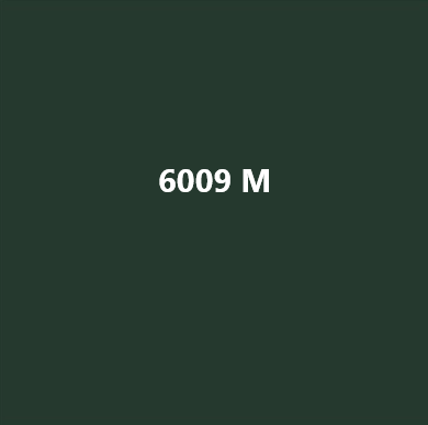CHAPA 3 X 1.25 X 1 RAL 6009 MATE 1CARA