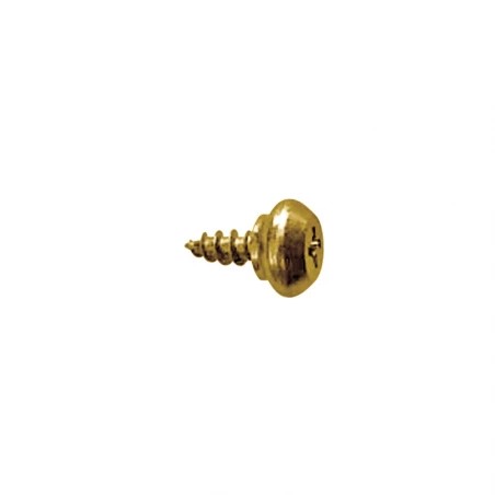 TORN. DFH PVC GUIA 4.2 X 10 RH