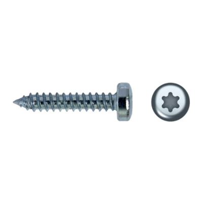 TORN. 4.8 X 38 BLANCO DIN 7049 TORX