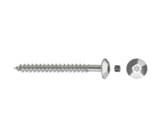 TORN.INVIOLABLE TORX.DIN/REF TIC 7 X 85 ZINCADO