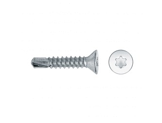 TORN. 4.2 X 19 DIN A61S PLATA P.BROCA