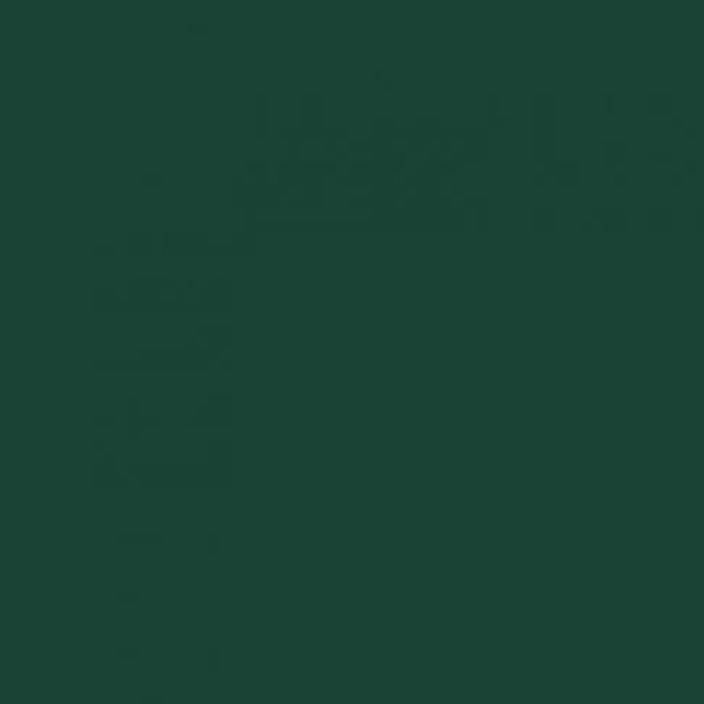 CHAPA 2 X 1 X 0.8 RAL 6005 2CARAS  CHAPA 2 X 1 X 0.8 RAL 6005 2CARAS