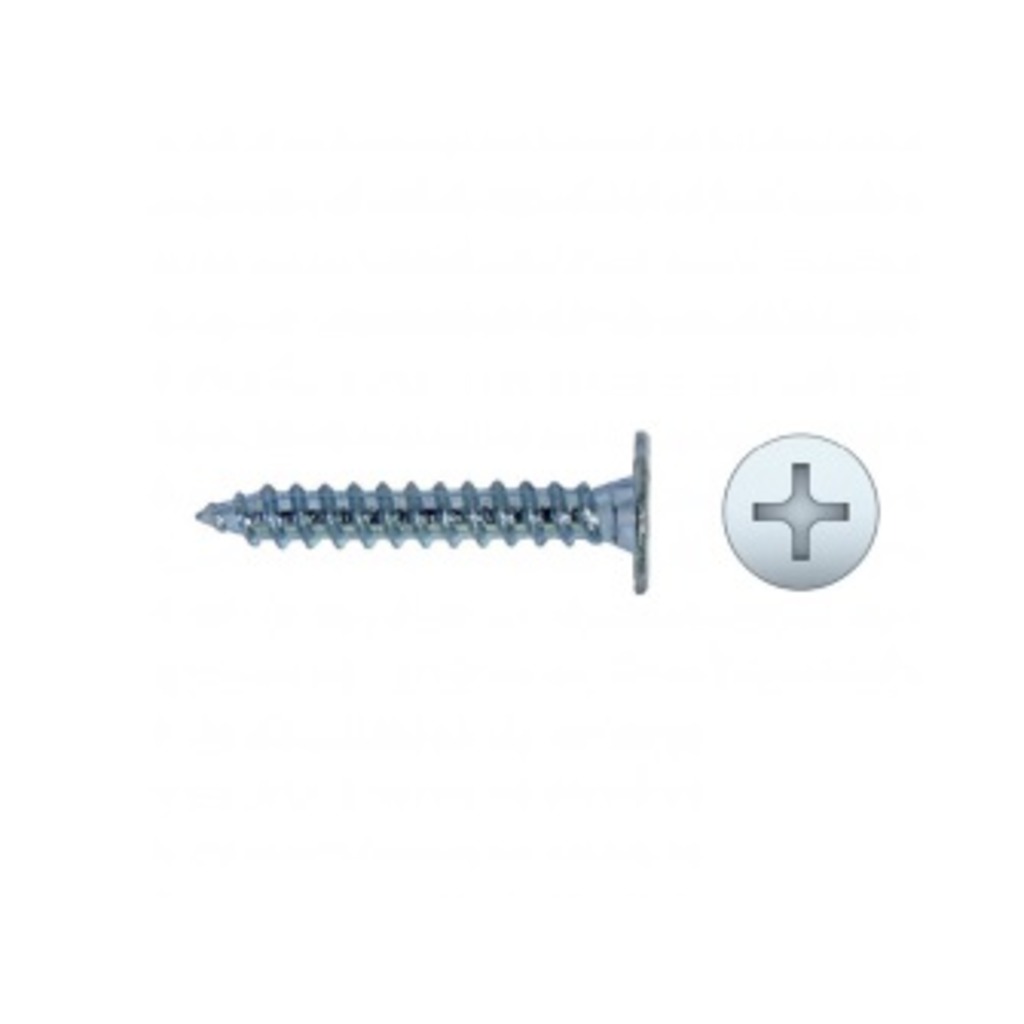 TORN. 4.2 X 13 PLATA DIN CE TORN. 4.2 X 13 PLATA DIN CE