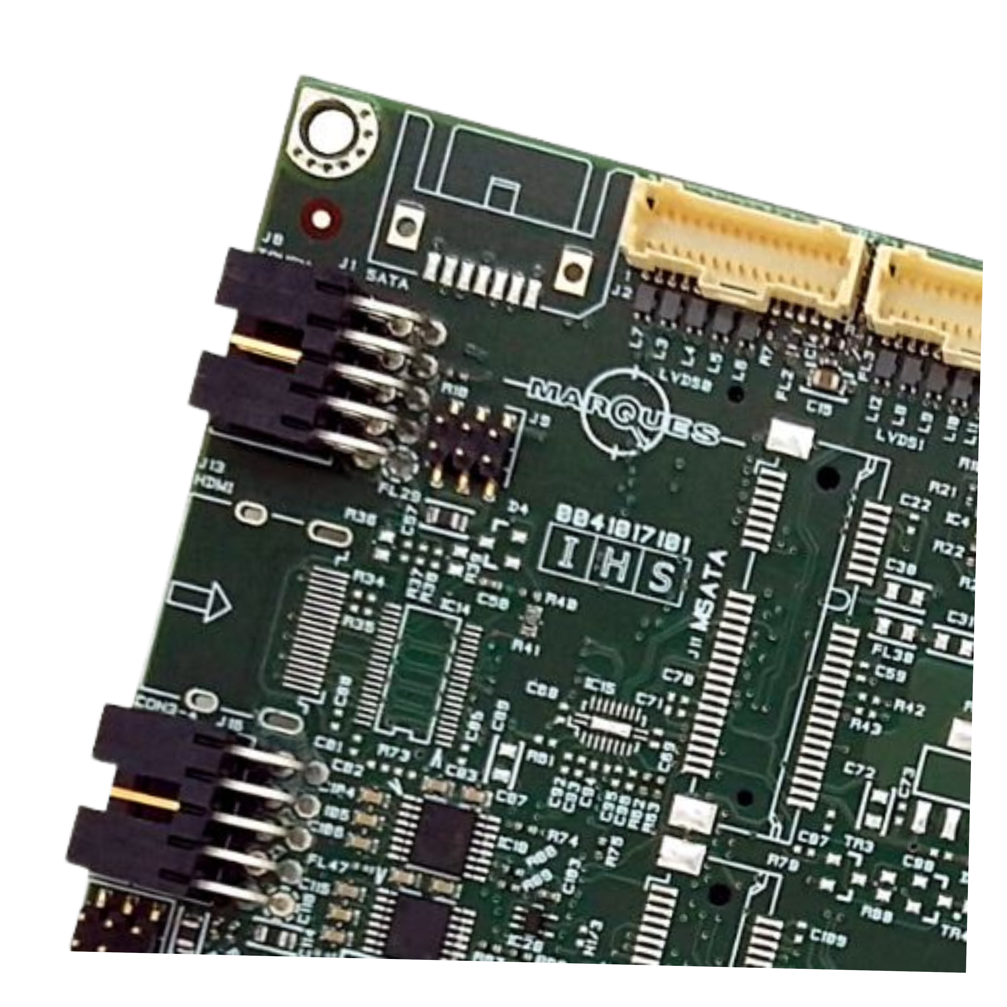 junior1 (2).jpg