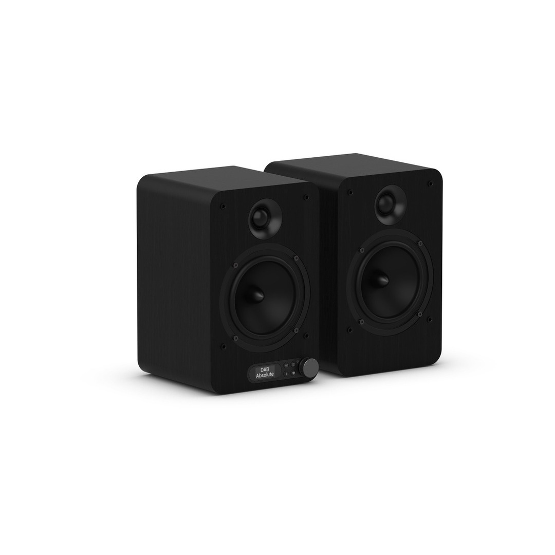 ALTAVOZ TV PURE CLASSIC ACTIVE BLACK BT RADIO USB