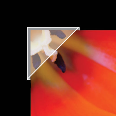 CANTONERA ADH. POLIPROPILENO, 15 mm -500 u-