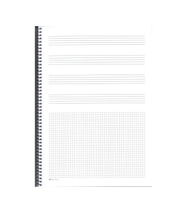 BLOCK -  FOLIO 4 PAUTAS MIXTO Y CUADRICULA VERTICAL (CON ANILLAS) (2CP4)