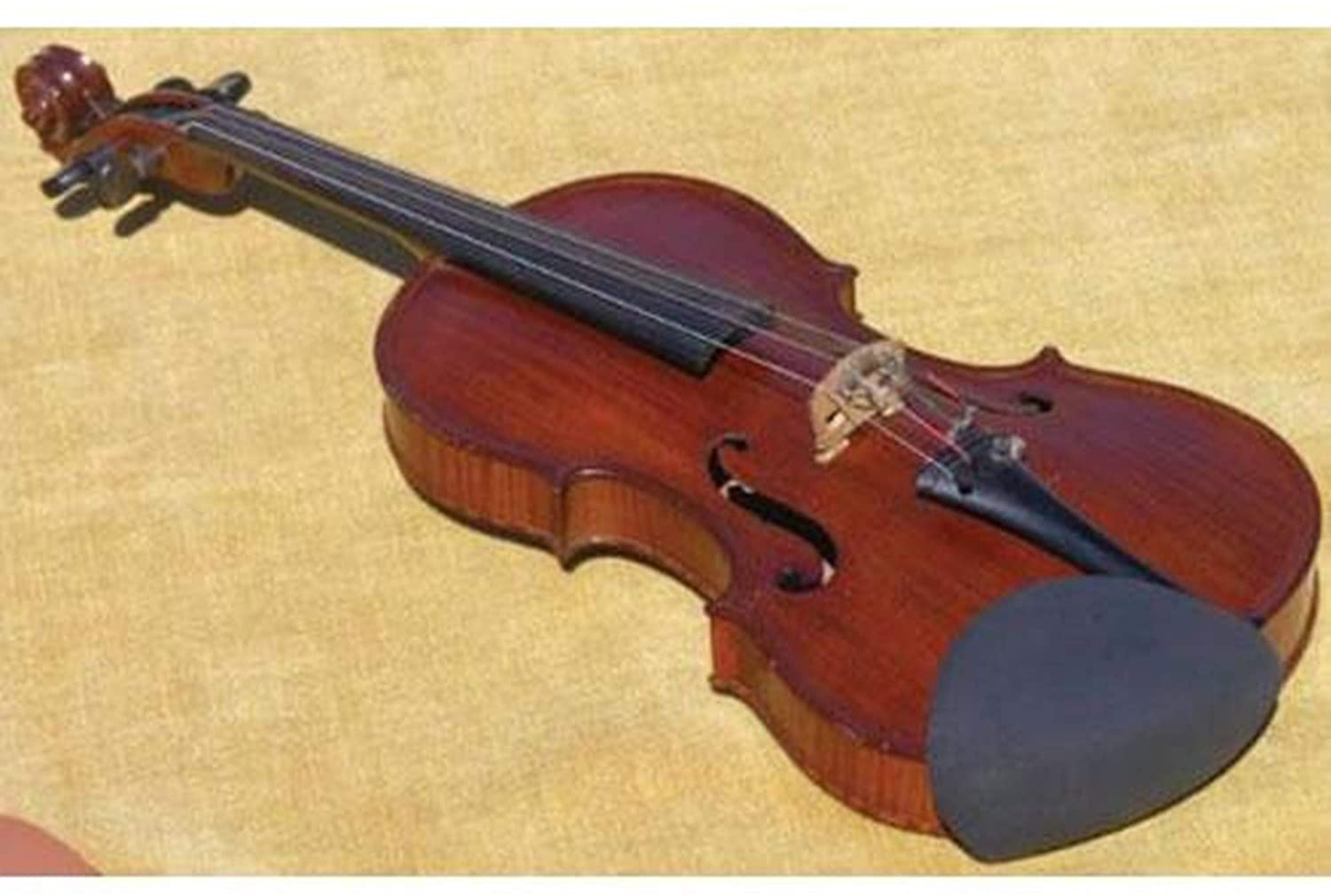 PROTECTOR BARBADA -STRAD-PAD EBONY LARGE