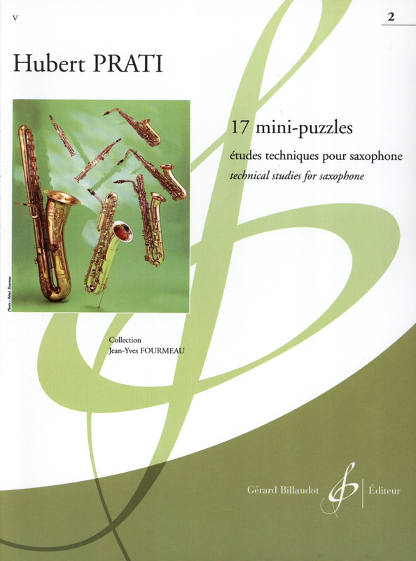 PRATI H. - MINI PUZLES (17) ESTUDIOS TECNICOS V.2