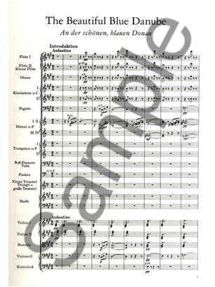 STRAUSS J. - GRANDES VALSES (8) -