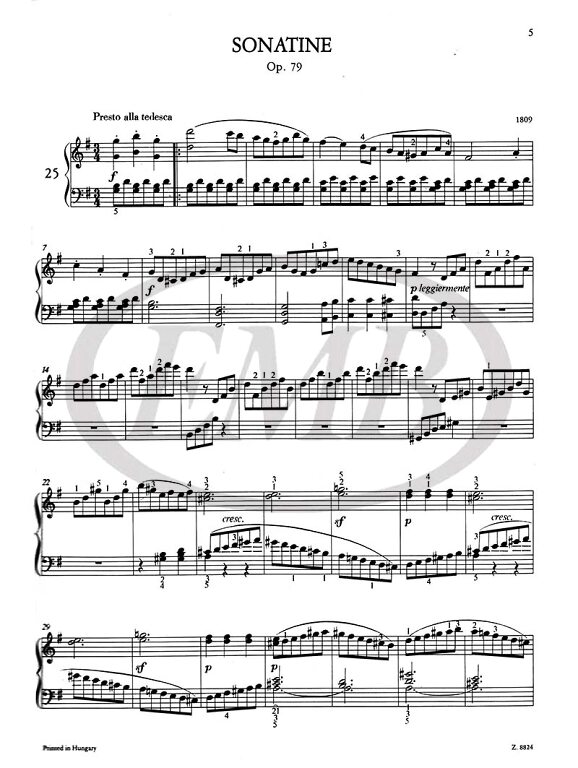 BEETHOVEN L.V. - SONATAS V.3 (24-32) URTEXT -