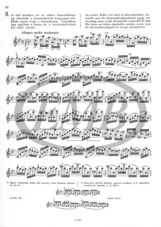 GAVINIES P. - ESTUDIOS MATINEES (24) -