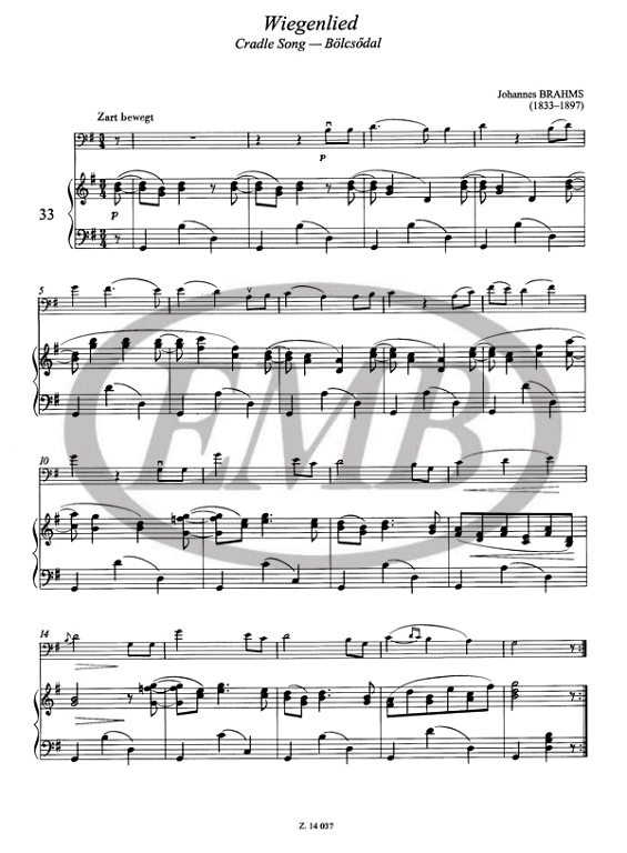ALBUM - MUSICA PARA PRINCIPIANTES V.3 -