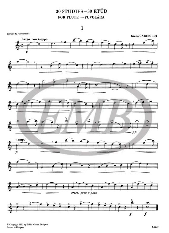 GARIBOLDI G. - ESTUDIOS FACILES Y PROGRESIVOS (30) -