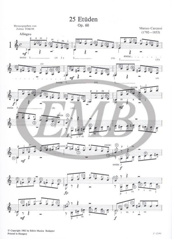 CARCASSI M. - ESTUDIOS MELODICOS Y PROGRESIVOS (25) -
