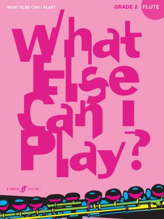 WHAT ELSE CAN I PLAY FLUTE 2