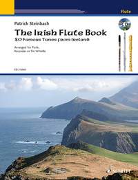ALBUM - THE IRISH FLUTE BOOK (DESCARGABLE)