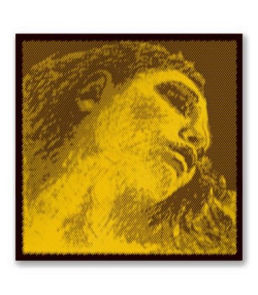 CUERDA VIOLA - PÌRASTRO EVAH PIRAZZI GOLD 425021 JUEGO