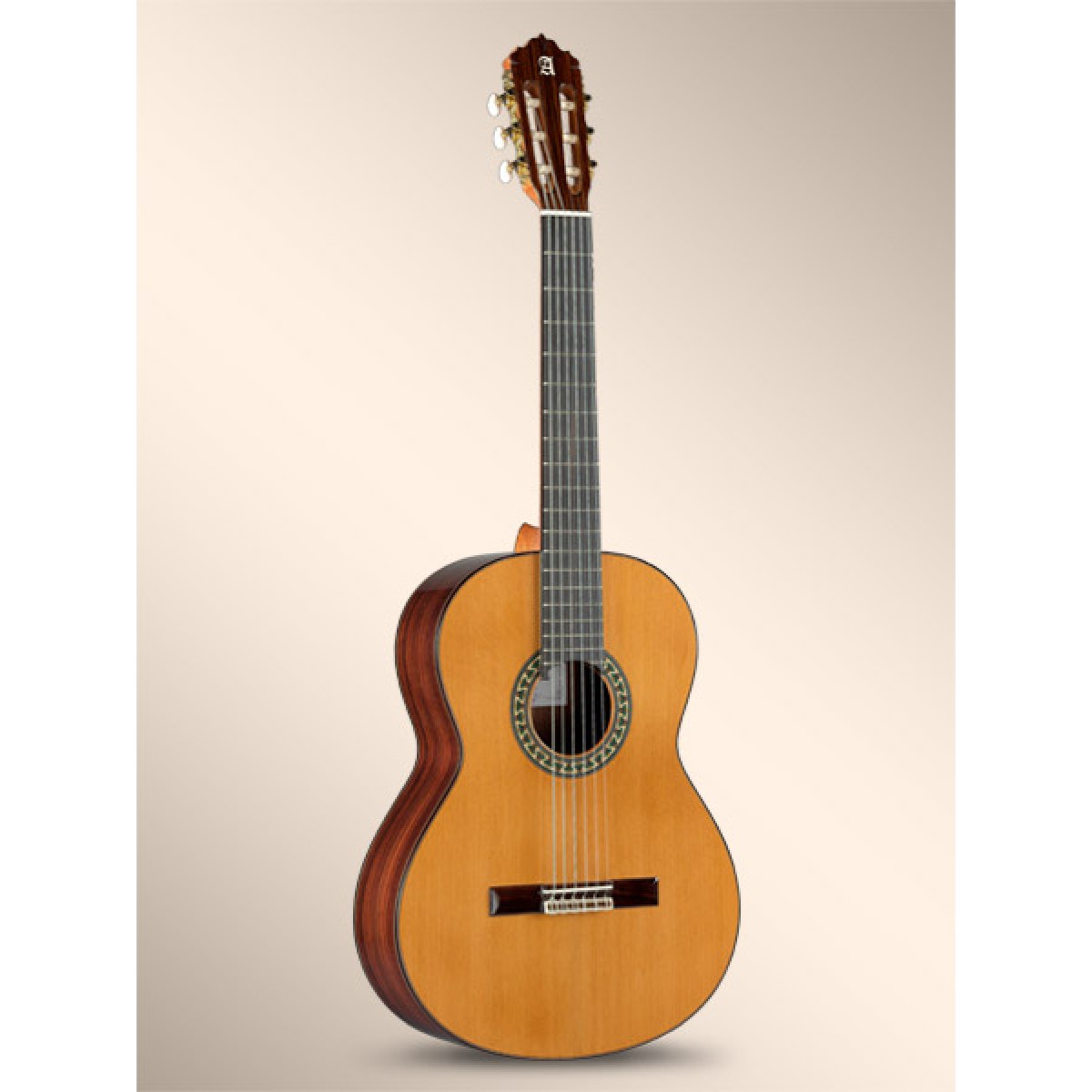GUITARRA CLASICA - ALHAMBRA 5 P ( CON FUNDA)