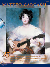 CARCASSI M. - ESTUDIOS MELODICOS Y PROGRESIVOS (25) - OP.60
