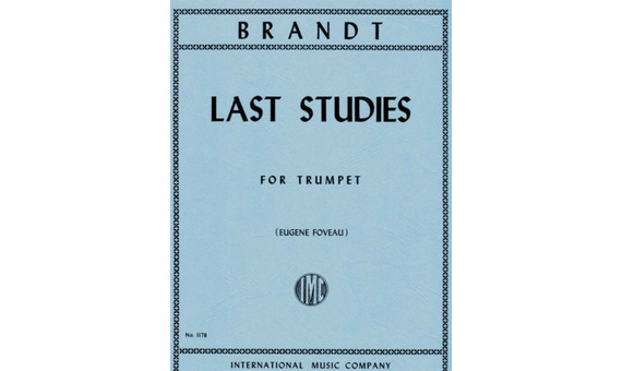 BRANDT V. - ESTUDIOS ULTIMOS -