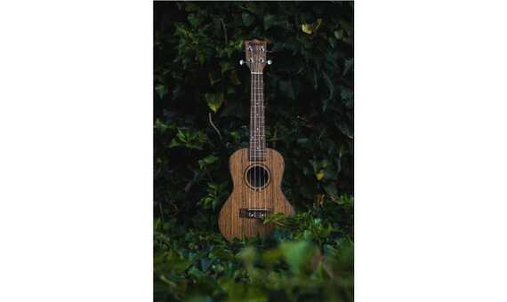 UKELELE CONCIERTO - KUNDE MARS 23