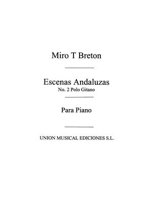 BRETON T. - POLO GITANO -
