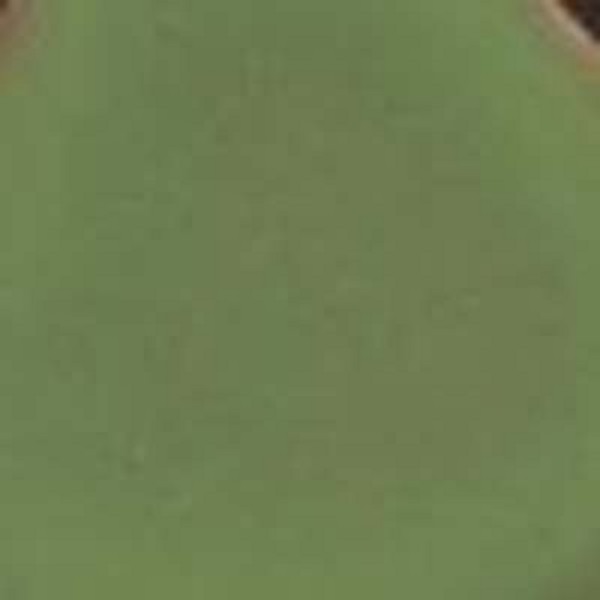 ESMALTE CS-209 VERDE VICTORIA 1kg