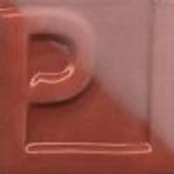 FACILENGOBE ENSP-20 SALMON 250grs