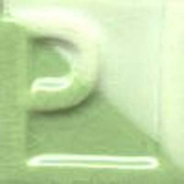 FACILENGOBE ENSP-06 VERDE VICTORIA 250grs