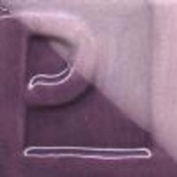 FACILENGOBE ENSP-07 MORADO 250grs
