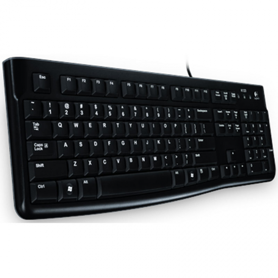 TECLADO LOGITECH K120 OEM 920-002518/920-002641