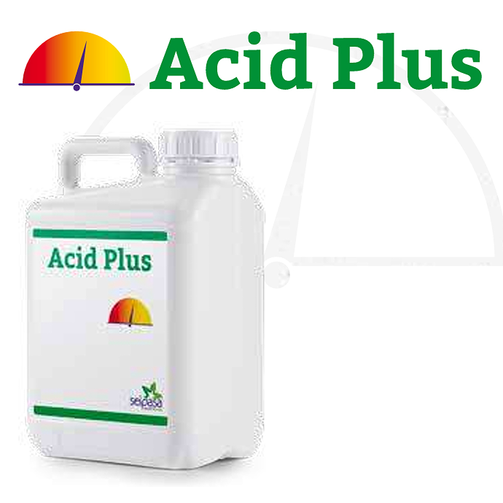 Acid Plus regulador de ph del agua 5L 1