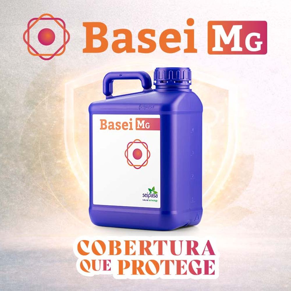 Basei Mg Protección foliar contra hongos de superficie, preventiva y curativa 5L 1