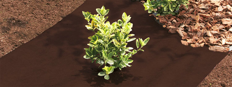 baner-terrafilm