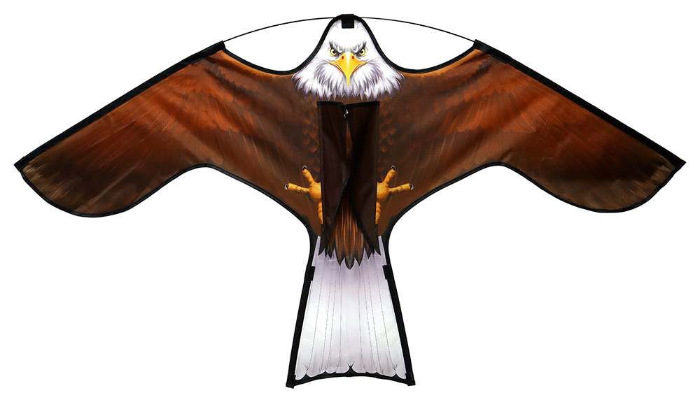 Cometa águila espantapájaros y roedores