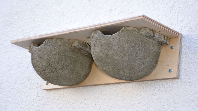 Nº 9B Caja nido doble para avión común
