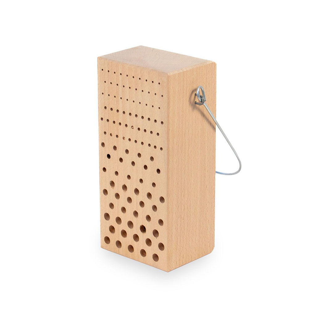 Nido de himenópteros de madera                                                                                                                        