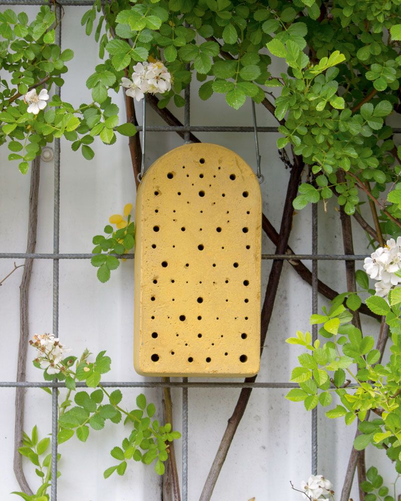Nido para himenópteros de cemento-madera