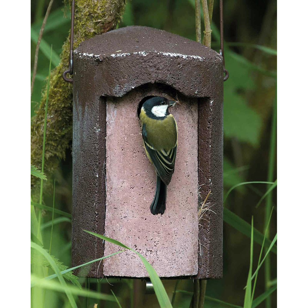 1B-26 Caja nido para herrerillos y carboneros garrapinos 6