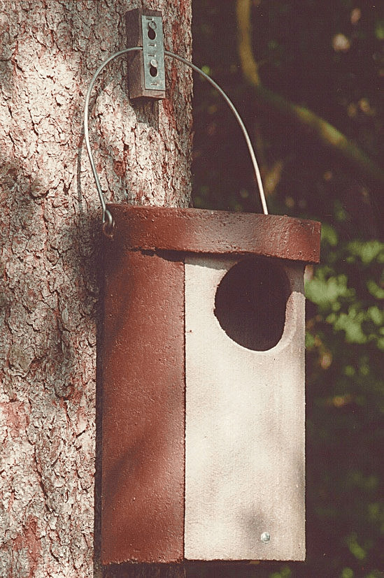 Nr. 5 Caja nido para cárabo