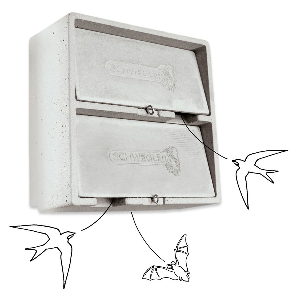1MF Caja nido doble para vencejos y murciélagos                                                                                                       