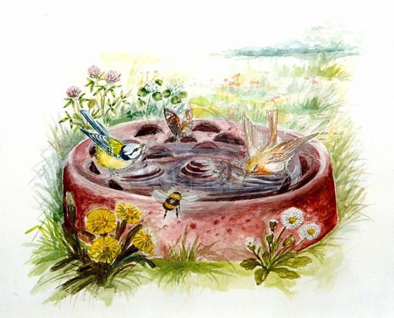 Bebedero-bañera de jardín para aves silvestres