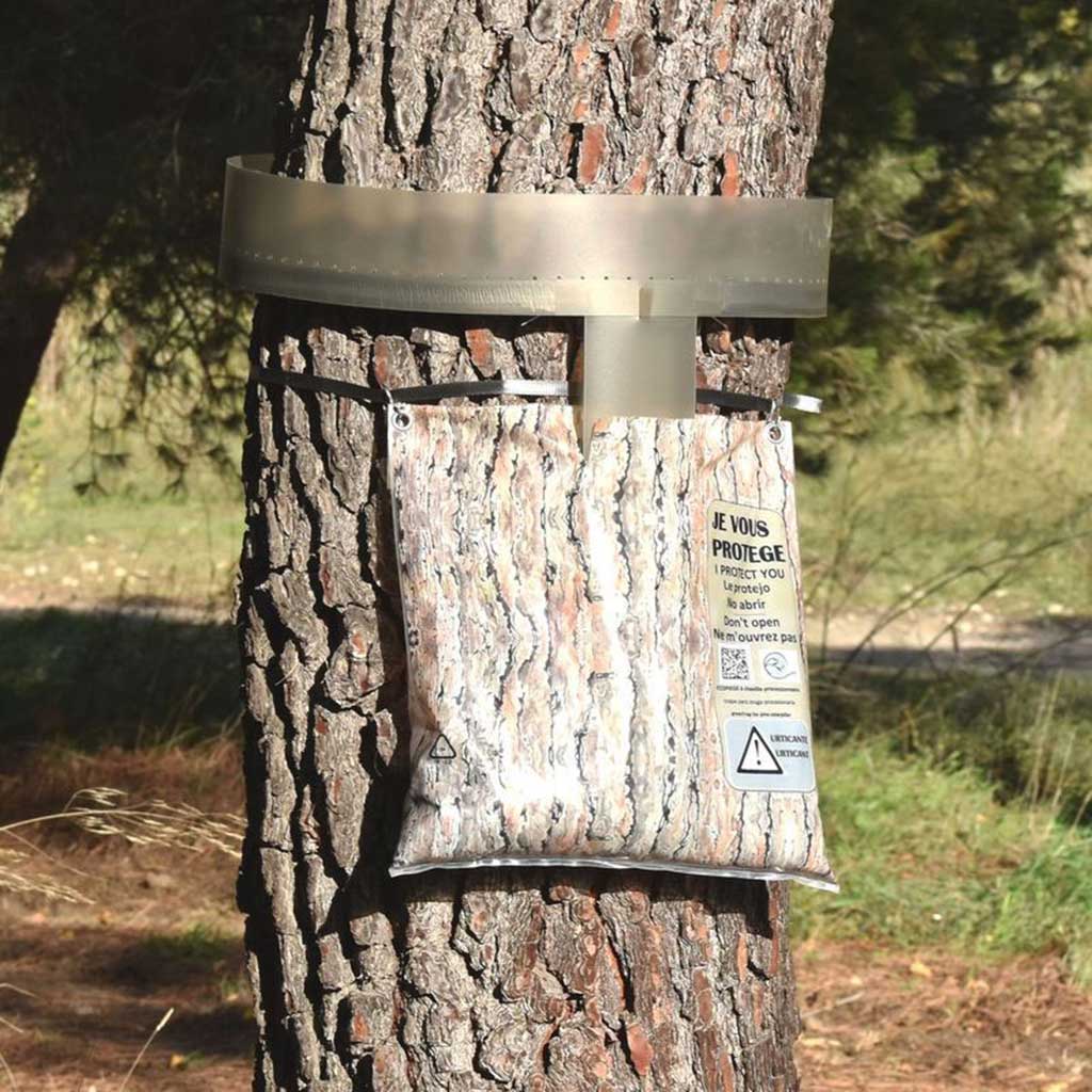 ECOPIEGE 30cm Collar para el control de la oruga de la procesionaria