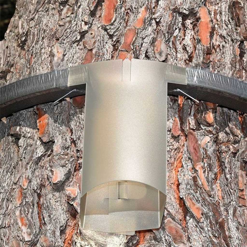 Tubo colector para trampa Ecopiege®